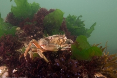 Zeeland 08-09-2019