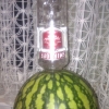 Vodka Meloen